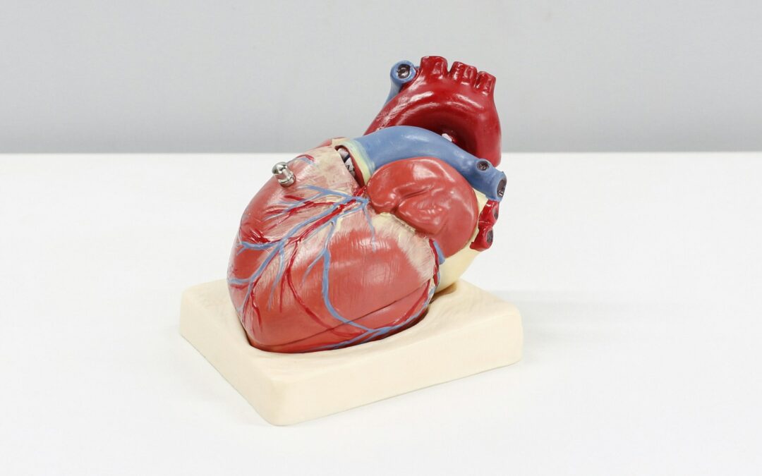 Fizioterapia în recuperarea cardiacă după infarct miocardic