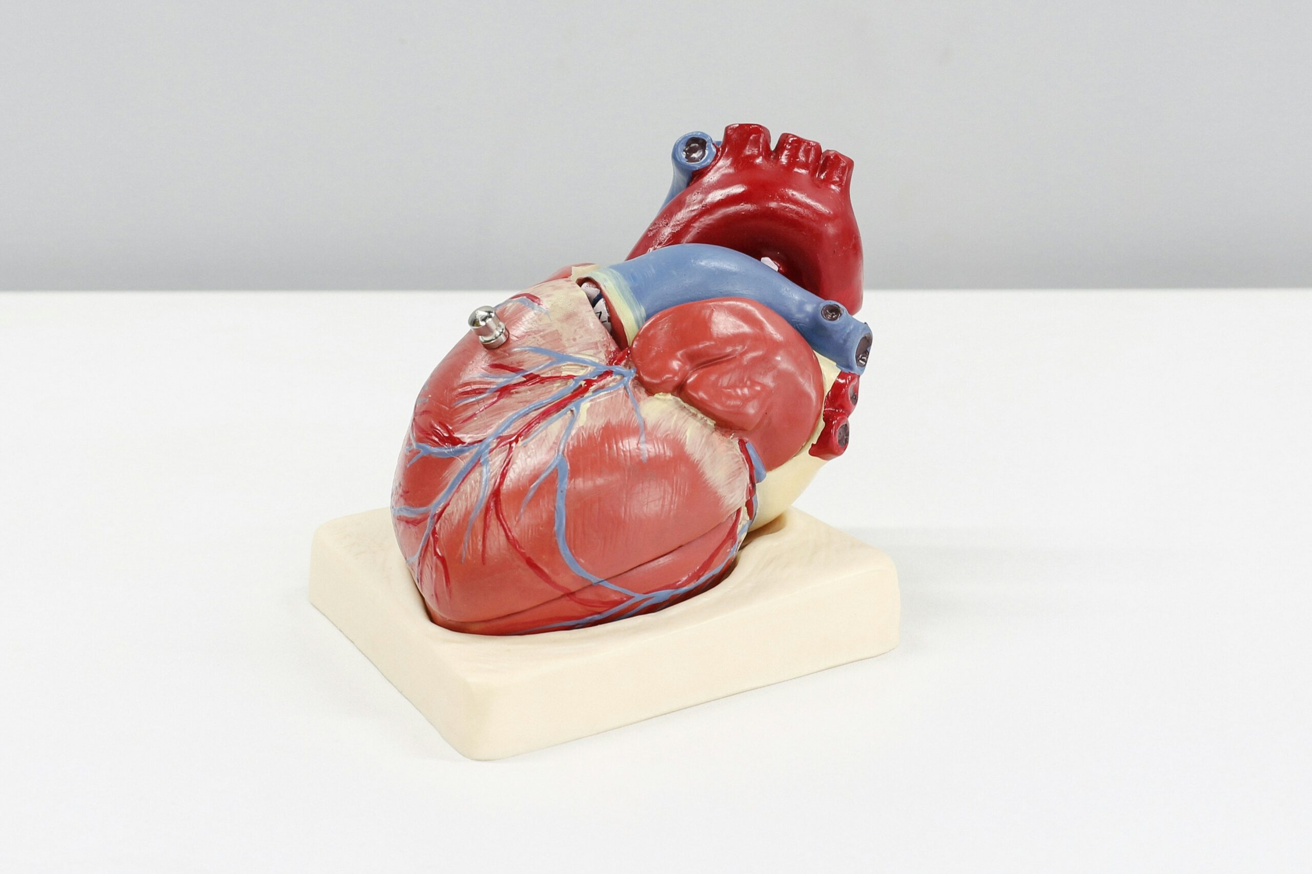 Fizioterapia în recuperarea cardiacă după infarct miocardic